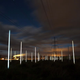 Illustration for article titled A Field of Light Sabers, Powered By Ambient Electricity